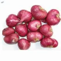 Small Onion