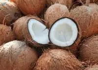 Fully Husked coconuts