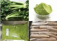 Celery Powder