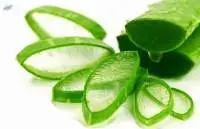 Aloe Vera Powder