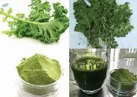 Kale Powder
