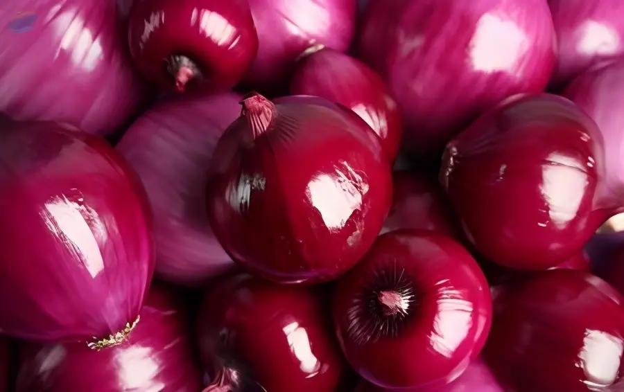 Red Onion
