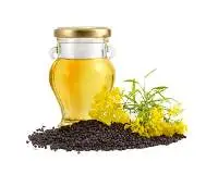Rapeseed Oil