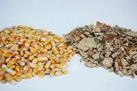 Corn Germ Oil Cake