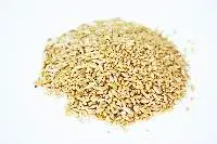 Durum Wheat