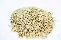 Barley