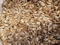 Spelt Husk