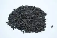 Sunflower Seeds