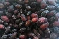 Dates