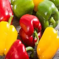 Bell Pepper