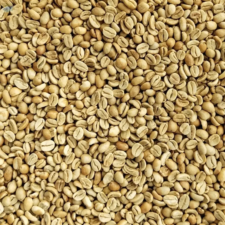 100% Kerinci Arabica Coffee Beans
