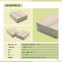 Eucalyptus LVL Lumber