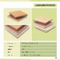 Laminated Plywood