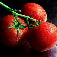 Tomatoes