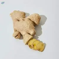Ginger