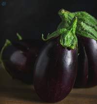Brinjal