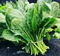 Spinach