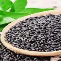 Basil Seeds