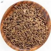 Caraway Seeds ( Sha Jeera)