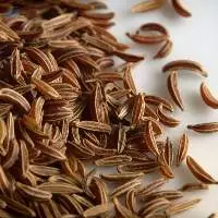 Caraway Seeds One