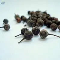 Cubebs