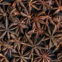 Star Aniseeds