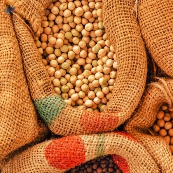 Soyabean