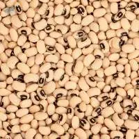 Black Eye bean