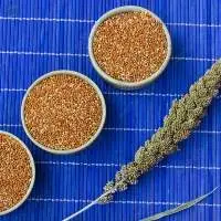 Green Millet