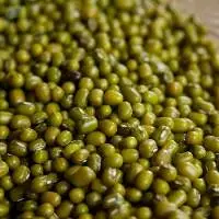 Green Moong bean