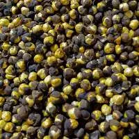 Roasted Gram Chana