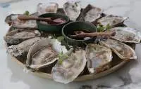 Oysters (Striostera Prismatica)