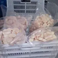 Scallops (Atrina Maura)