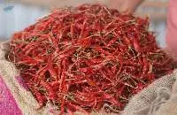 Dry Chili