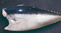 Yellowfin Tuna Frozen