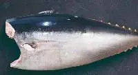 Yellowfin Tuna Frozen