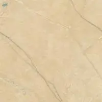 Floor Tiles 800x800MM