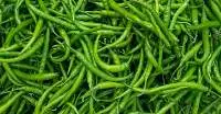 Fresh Green Chilly