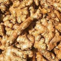 Fresh Ginger