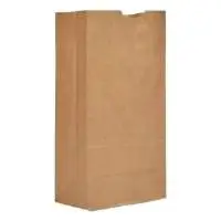 4# Kraft Paper Grocery Bag