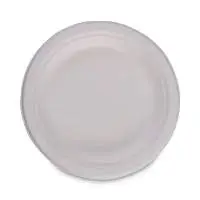 White Compostable 6 Inch Sugarcane Plates