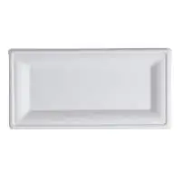 10 x 5 Rectangular Compostable Plates