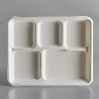 10.25 x 8.25 Biodegradable 5 Compartment