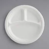 Compostable Sugarcane / Bagasse 9  