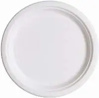 10 Compostable Sugarcane / Bagasse Round Plate
