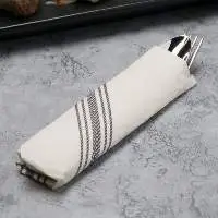 15 1/2  x 15 1/2 Fashn Point Dishtowel Napkin