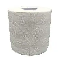 Recycled 2-Ply Toilet Tissue, White 400 Sheet