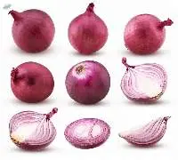 Fresh Organic Onion