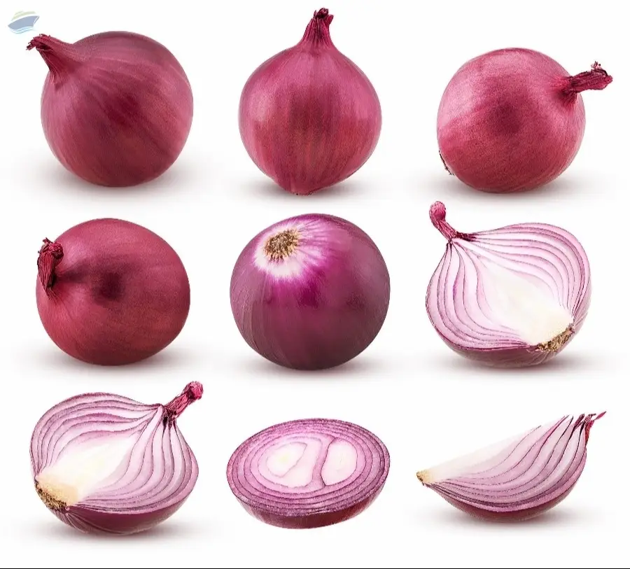Fresh Organic Onion