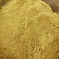 Coriander Powder